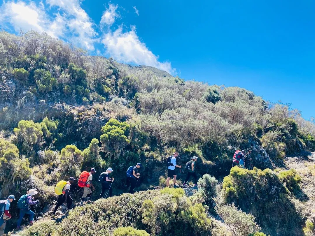Mount Kilimanjaro trekking landscape